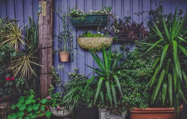 Come creare un giardino in terrazza